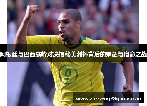 阿根廷与巴西巅峰对决揭秘美洲杯背后的荣耀与宿命之战