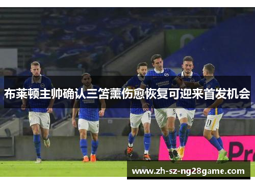 布莱顿主帅确认三笘薰伤愈恢复可迎来首发机会 布莱顿主帅确认三笘薰伤愈恢复可迎来首发机会