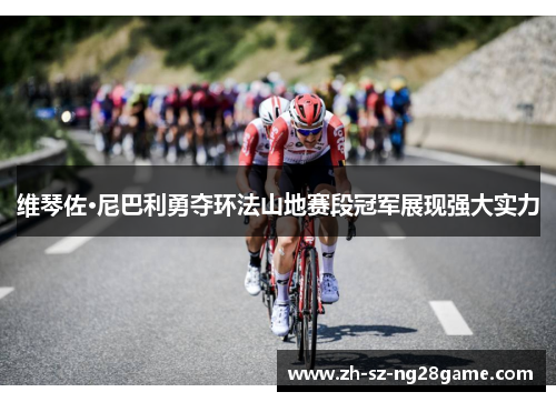 维琴佐·尼巴利勇夺环法山地赛段冠军展现强大实力