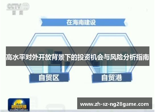 高水平对外开放背景下的投资机会与风险分析指南 高水平对外开放背景下的投资机会与风险分析指南