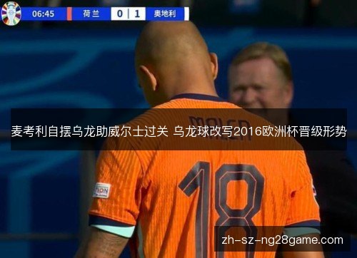 麦考利自摆乌龙助威尔士过关 乌龙球改写2016欧洲杯晋级形势 麦考利自摆乌龙助威尔士过关 乌龙球改写2016欧洲杯晋级形势