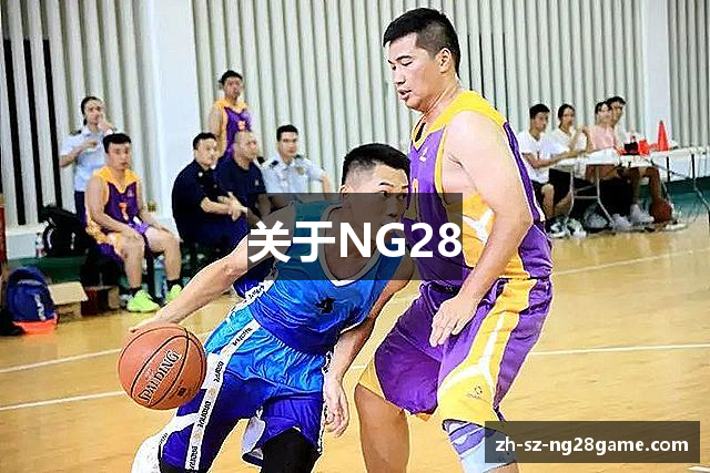 关于NG28